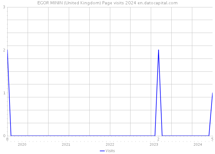 EGOR MININ (United Kingdom) Page visits 2024 