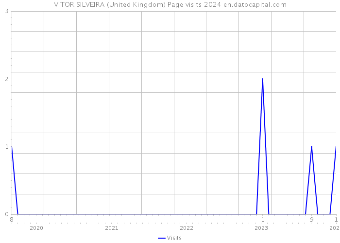 VITOR SILVEIRA (United Kingdom) Page visits 2024 