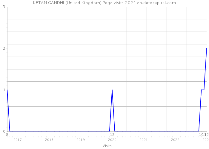 KETAN GANDHI (United Kingdom) Page visits 2024 
