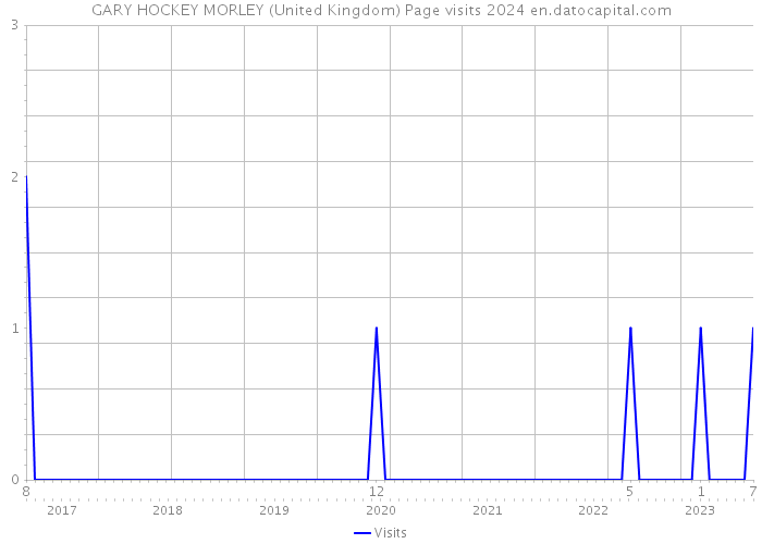 GARY HOCKEY MORLEY (United Kingdom) Page visits 2024 