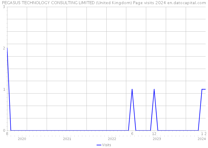 PEGASUS TECHNOLOGY CONSULTING LIMITED (United Kingdom) Page visits 2024 