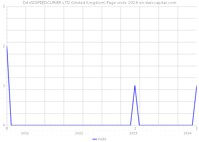 DAVIDSPEEDCURIER LTD (United Kingdom) Page visits 2024 