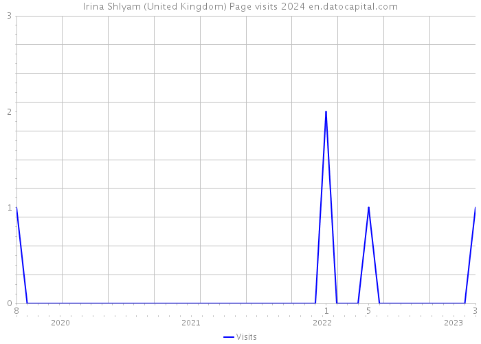 Irina Shlyam (United Kingdom) Page visits 2024 