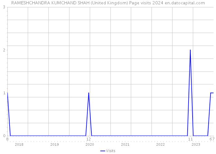 RAMESHCHANDRA KUMCHAND SHAH (United Kingdom) Page visits 2024 