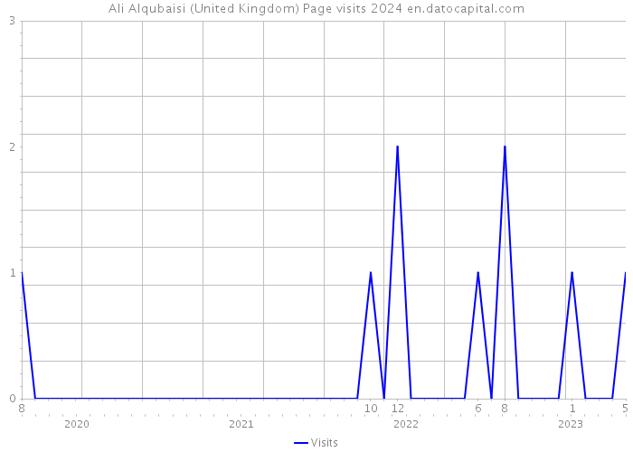 Ali Alqubaisi (United Kingdom) Page visits 2024 