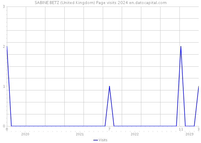 SABINE BETZ (United Kingdom) Page visits 2024 