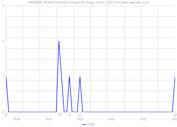 AMREEK SINGH (United Kingdom) Page visits 2024 