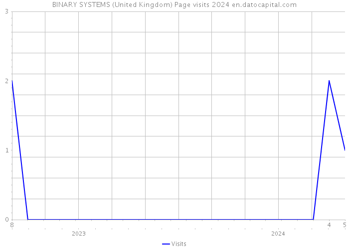 BINARY SYSTEMS (United Kingdom) Page visits 2024 
