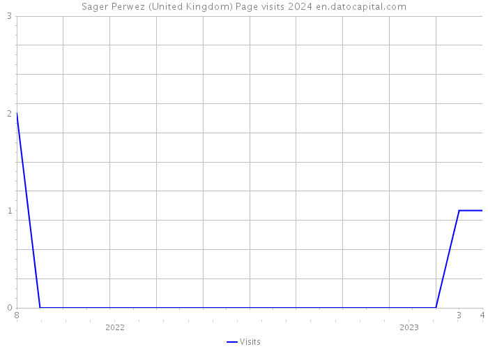 Sager Perwez (United Kingdom) Page visits 2024 