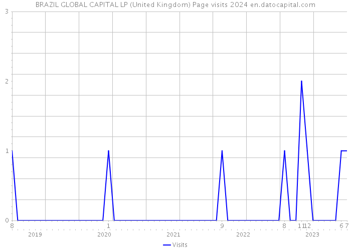 BRAZIL GLOBAL CAPITAL LP (United Kingdom) Page visits 2024 