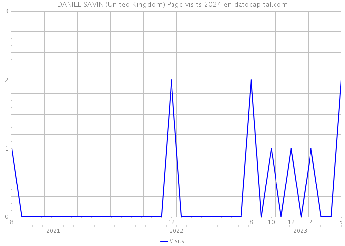 DANIEL SAVIN (United Kingdom) Page visits 2024 