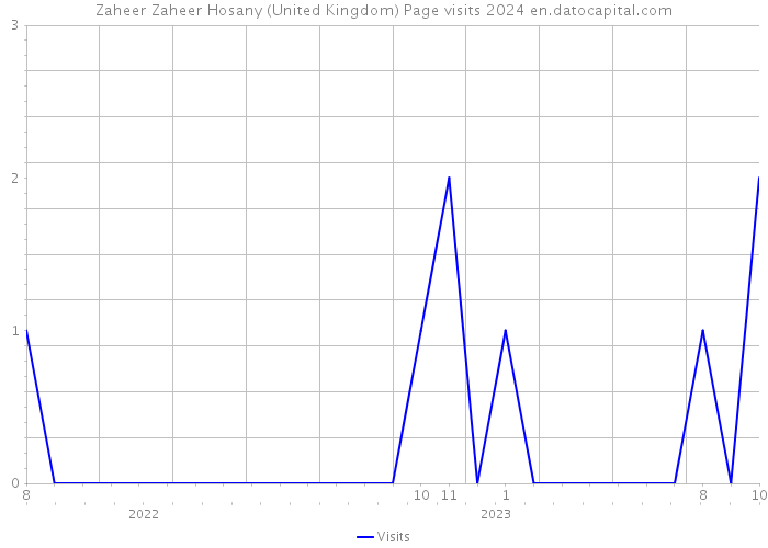 Zaheer Zaheer Hosany (United Kingdom) Page visits 2024 