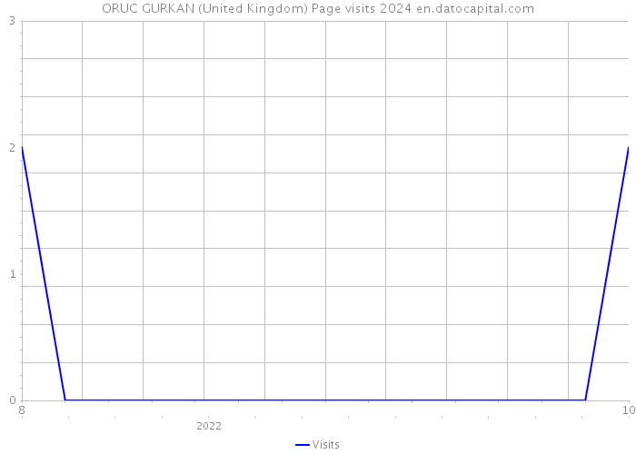 ORUC GURKAN (United Kingdom) Page visits 2024 