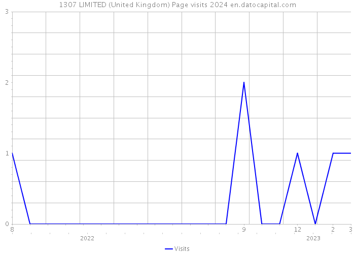 1307 LIMITED (United Kingdom) Page visits 2024 