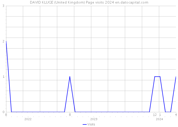 DAVID KLUGE (United Kingdom) Page visits 2024 