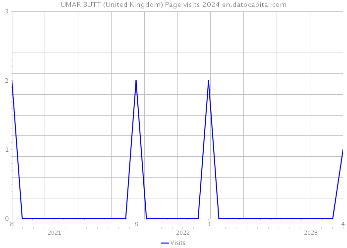 UMAR BUTT (United Kingdom) Page visits 2024 