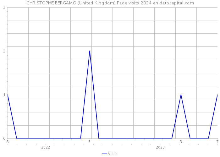 CHRISTOPHE BERGAMO (United Kingdom) Page visits 2024 
