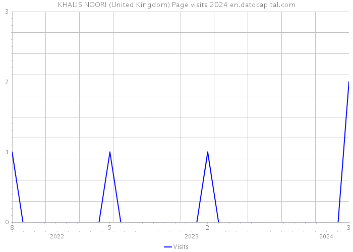 KHALIS NOORI (United Kingdom) Page visits 2024 
