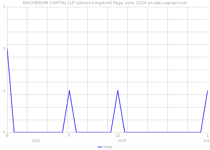 MAGNESIUM CAPITAL LLP (United Kingdom) Page visits 2024 