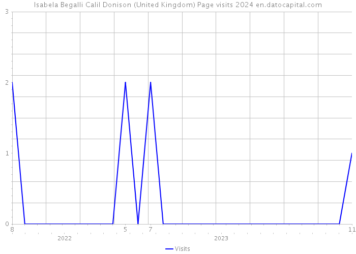 Isabela Begalli Calil Donison (United Kingdom) Page visits 2024 