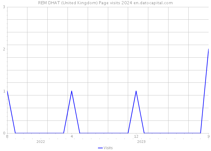 REM DHAT (United Kingdom) Page visits 2024 