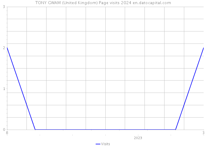 TONY GWAM (United Kingdom) Page visits 2024 