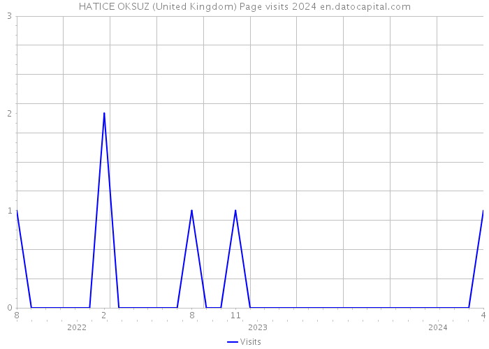 HATICE OKSUZ (United Kingdom) Page visits 2024 