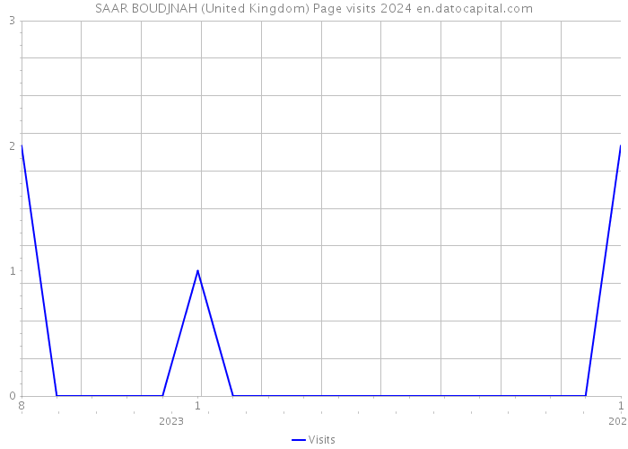 SAAR BOUDJNAH (United Kingdom) Page visits 2024 