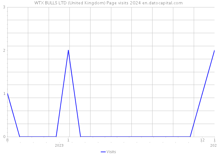 WTX BULLS LTD (United Kingdom) Page visits 2024 