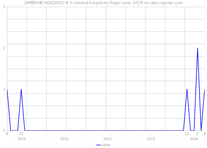 ZIMBRINE HOLDINGS B V (United Kingdom) Page visits 2024 