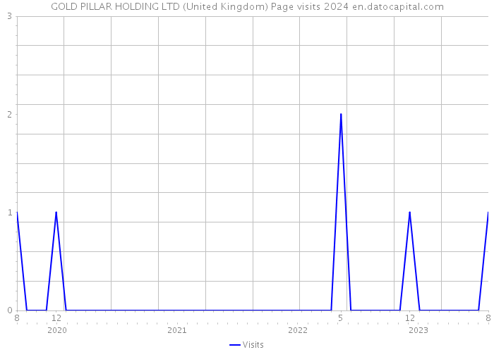 GOLD PILLAR HOLDING LTD (United Kingdom) Page visits 2024 