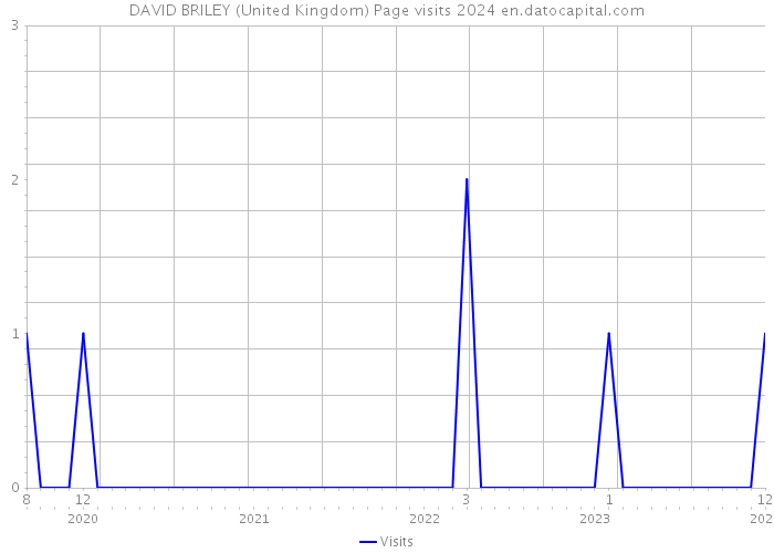 DAVID BRILEY (United Kingdom) Page visits 2024 