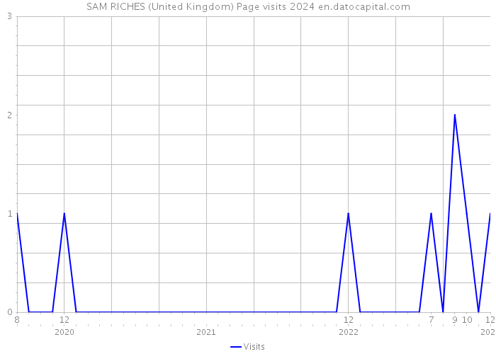 SAM RICHES (United Kingdom) Page visits 2024 
