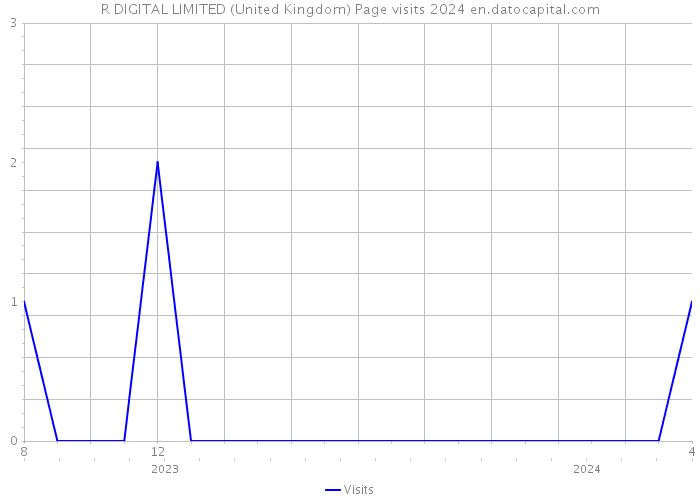 R DIGITAL LIMITED (United Kingdom) Page visits 2024 