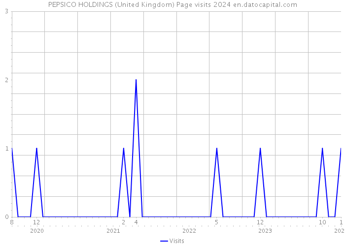 PEPSICO HOLDINGS (United Kingdom) Page visits 2024 