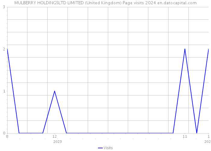 MULBERRY HOLDINGSLTD LIMITED (United Kingdom) Page visits 2024 