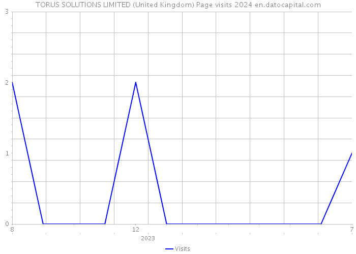 TORUS SOLUTIONS LIMITED (United Kingdom) Page visits 2024 
