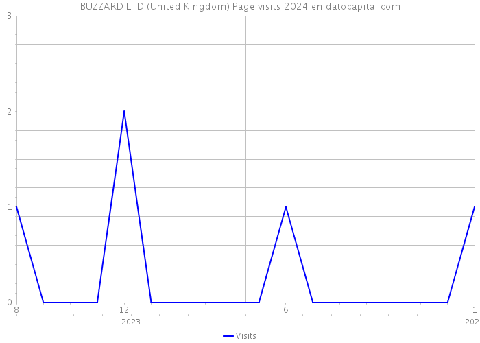 BUZZARD LTD (United Kingdom) Page visits 2024 