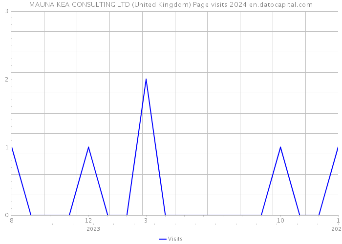 MAUNA KEA CONSULTING LTD (United Kingdom) Page visits 2024 