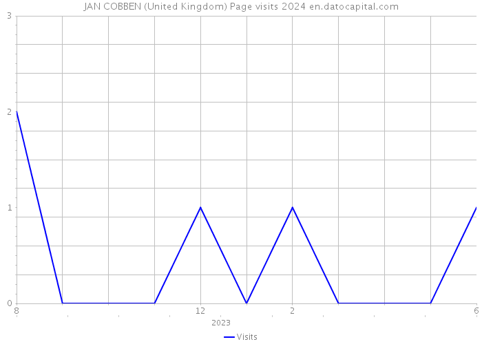 JAN COBBEN (United Kingdom) Page visits 2024 