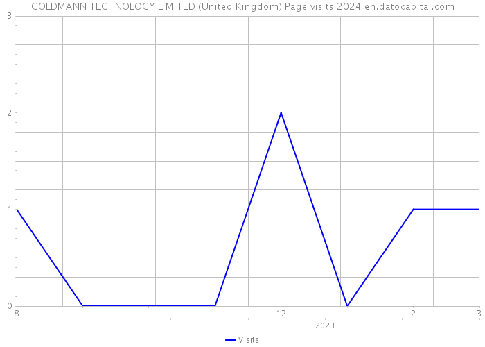 GOLDMANN TECHNOLOGY LIMITED (United Kingdom) Page visits 2024 