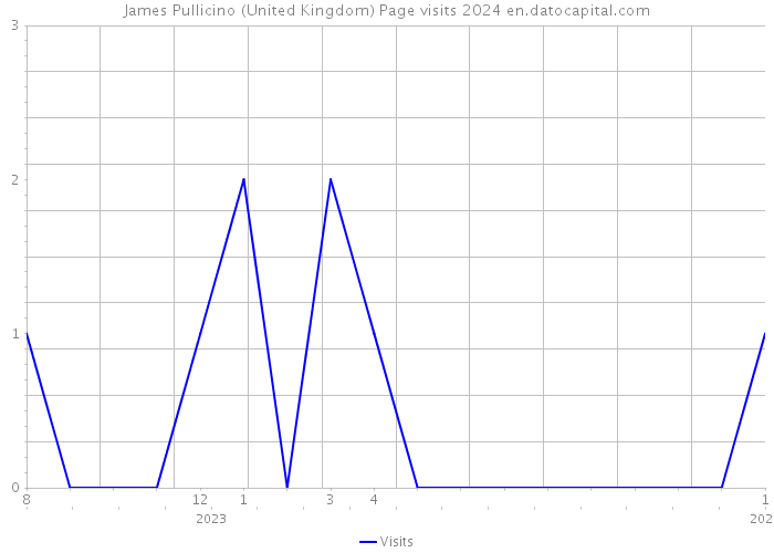 James Pullicino (United Kingdom) Page visits 2024 