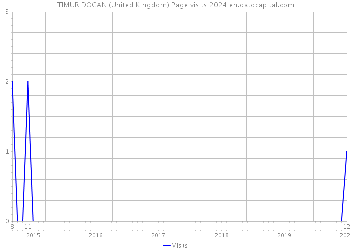 TIMUR DOGAN (United Kingdom) Page visits 2024 