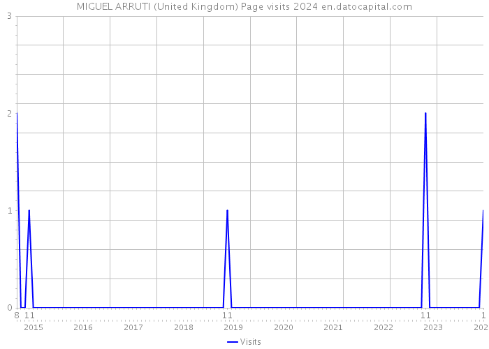 MIGUEL ARRUTI (United Kingdom) Page visits 2024 