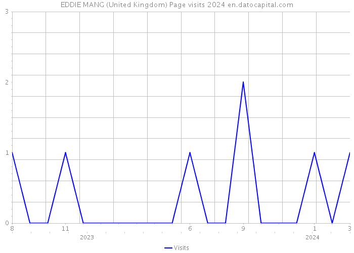 EDDIE MANG (United Kingdom) Page visits 2024 