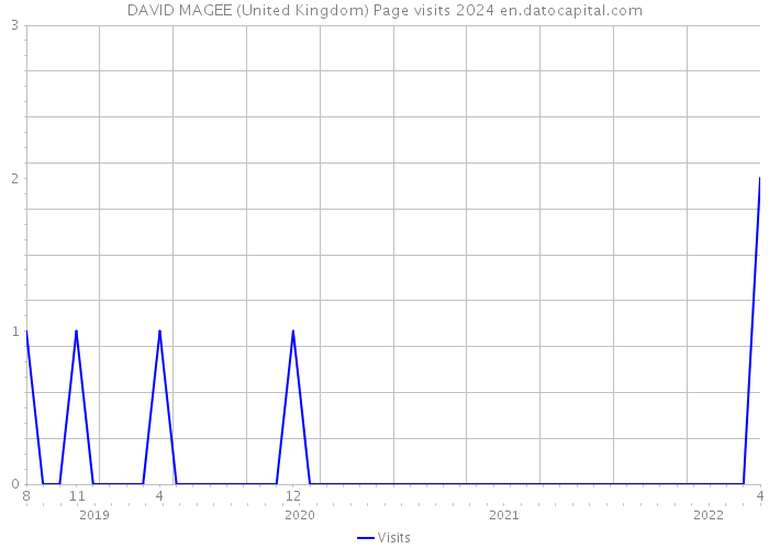 DAVID MAGEE (United Kingdom) Page visits 2024 