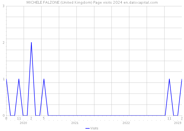 MICHELE FALZONE (United Kingdom) Page visits 2024 