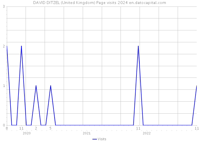 DAVID DITZEL (United Kingdom) Page visits 2024 