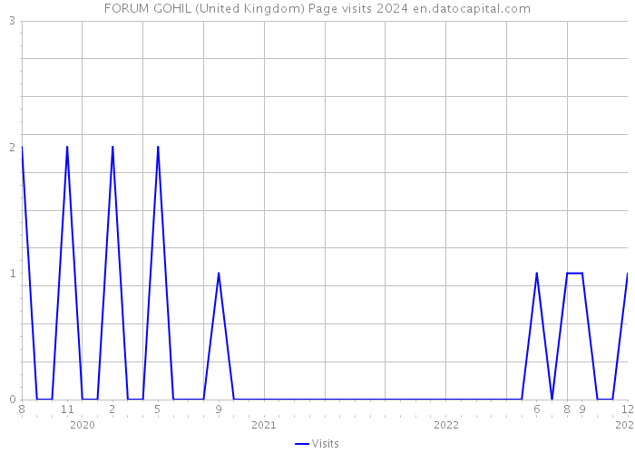 FORUM GOHIL (United Kingdom) Page visits 2024 