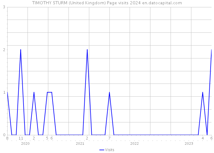 TIMOTHY STURM (United Kingdom) Page visits 2024 